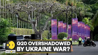 G20 overshadowed by the Ukraine war? Biden, Xi meet ahead of G20 Summit | World English News