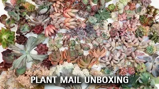 Plant Haul Unboxing : IT'S SO HUGE