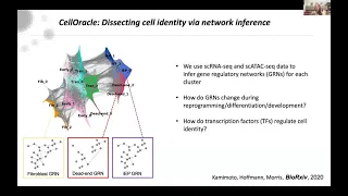 SCOG Virtual Lecture Series - Samantha Morris (WUSTL, St. Louis, USA)