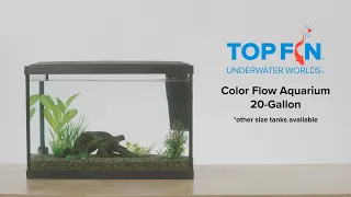 Top Fin Color Changing Fish Tank #Aquarium Setup | YouTube