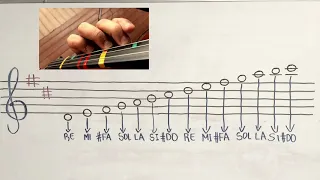 Escala Re Mayor 2 Octavas. #violinteacher #violinist #escalas