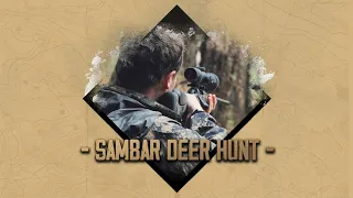 State forest sambar deer hunt | The Huntsman
