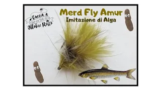 Merd fly Amur