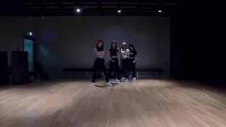 BLACKPINK - ‘뚜두뚜두 (DDU-DU DDU-DU)’ DANCE PRACTICE VIDEO (MOVING VER.) MIRROR