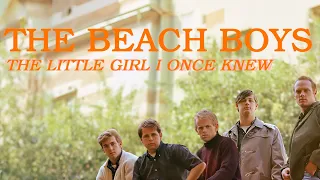 The Beach Boys - The Little Girl I Once Knew (2019 Mix)