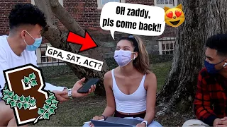Asking Brown University Students How They Got Into Brown [Insane HS Stats] 🤯  + JUICY Q&A 😂