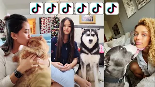 TikTok Trend - Kiss Your Pet On The Head And See Their Reaction