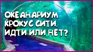 Крокус Сити Океанариум. Стоит ли идти?   Куда сходить с детьми?