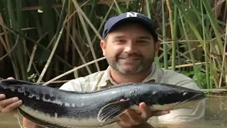 OMG! 500lb Monster Fish From Land! Ramp Monsters