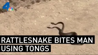 Rattlesnake Bites Man Who Picked It Up With Barbecue Tongs | NBCLA