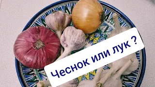 Что полезнее, чеснок или лук?