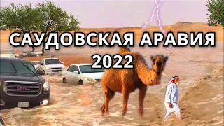 Потоп в Саудовская Аравия 2022.  Сильнейший градовой шторм похоронил пустыню в Саудовской Аравии.