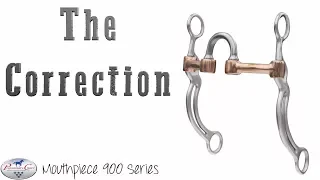 The Correctional - PC Bits: 900 series
