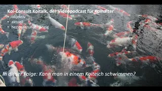 Koi Consult Koitalk #380 Kann man in einem Koiteich schwimmen