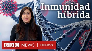 Qué es la inmunidad híbrida y cómo te protege contra infecciones como la del coronavirus | BBC Mundo