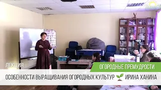 Огородные премудрости Выращивание рассады Семена / Ирина Ханина