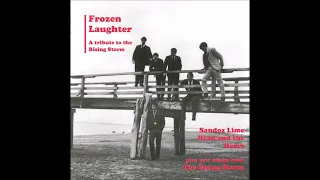 Various - Frozen Laughter A Tribute To The Rising Storm (1993)