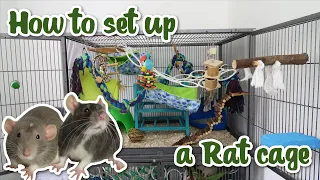 How to set up a Rat cage