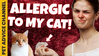 Tips for dealing with cat allergies when you have a cat