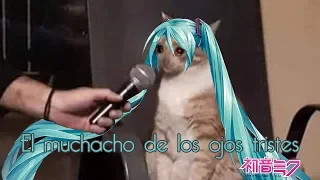 【Hatsune Miku】El muchacho de los ojos tristes【VOCALOID Cover】+VSQx