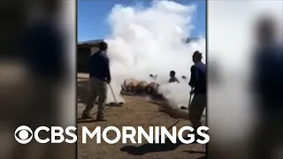 Navy SEAL tear gas video raises questions about "the lawfulness of the behavior"