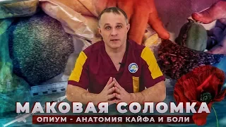 МАКОВАЯ СОЛОМКА | ОПИУМ: эффект от опийного мака | Симптомы ломки и последствия употребления