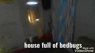 bedbugs in african slums part one