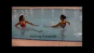 Beginner Aquatic Combat