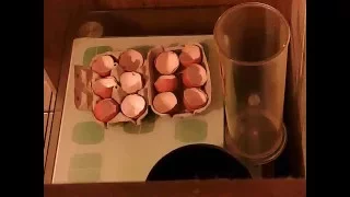 egg shell wine clear