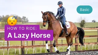 How to Ride a Lazy Horse - Improve the Responsiveness of Your Horse