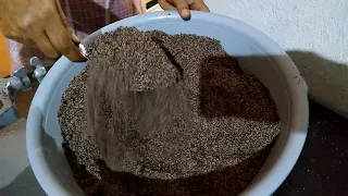 cómo hacer chocolate Oaxaqueño artesanal