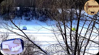 В РЕКЕ ПОЛНО РЫБЫ,ПОПАЛ НА РАЗДАЧУ,ЗИМНЯЯ РЫБАЛКА НА КОРОМЫСЛО.