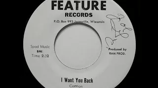 The Voyagers - I Want You Back