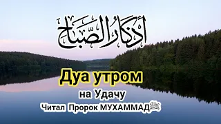 СЛУШАЙТЕ «КАЖДОЕ УТРО» - ЭТИМ ДУА АЛЛАХ СДЕЛАЕТ ДЕНЬ  ПРЕКРАСНЫМ, ЗАРЯЖАЕТ ИМАН, СПОКОЙНЫМ| #утром