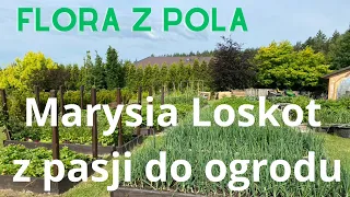 "Flora z Pola" Marysia Loskot Co Ona wyrabia w ogrodzie :)