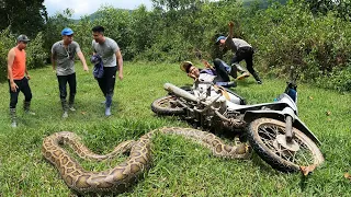 5 Brave Hunters Tracked Down The Giant Snake That Attacked The People | Snake King