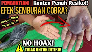 EFEK SEMBURAN BISA ULAR COBRA!! TEST BISA ULAR COBRA! BENARKAH BERBAHAYA JIKA MENEMPEL DI KULIT?