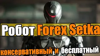 Торговый робот Forex Setka консервативный и стабильный