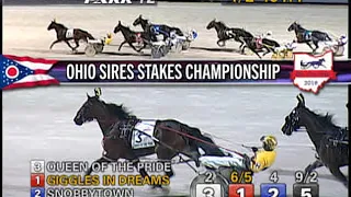 2019 Ohio Sires Stakes Championship-3 YO Filly-Queen Of The Pride