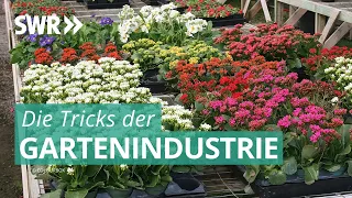 Die Tricks der Gartenindustrie | Die Tricks... SWR