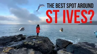 We TRY FISHING around St Ives and Carbis Bay