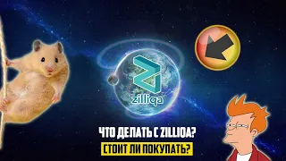 ZILLIQA В НАКОПЛЕНИИ УЖЕ 4 МЕСЯЦА! ЗАТИШЬЕ ПЕРЕД БУРЕЙ! ГРЯДЕТ СКОРЫЙ РОСТ ИЛИ ГОТОВИТСЯ КОРРЕКЦИЯ?!