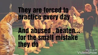 Animal cruelty in circus and zoo.