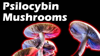 Psilocybin Mushrooms: How They Feel & What To Know!