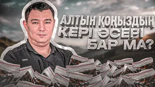 🪲Алтын қоңыз қандай кері әсері бар. (Противопоказание, қарсы көрсетілімі, побочные эффекты)