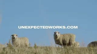 DDB WORLDWIDE UNEXPECTED WORKS LAUNCH 2021
