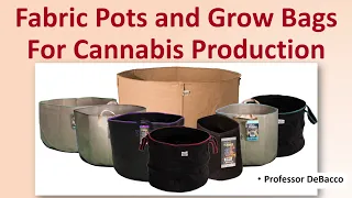 Fabric Pots and Grow Bags For Cannabis Production