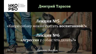 Лекция 5 и 6 «Какую собаку можно считать воспитанной?» и «Агрессия у собак: что делать?»