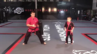 At-Home Martial Arts Drills with Body Shield