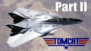 DCS: Encountering the Aim-54 Phoenix Part 2- F-14 Tomcat Mod Vs F-18 Hornet